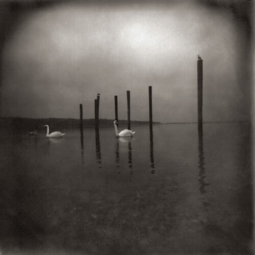 Om: Conference Of The Birds - CASSETTES