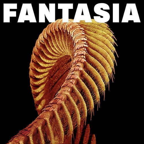 Slift: Fantasia - COMPACT DISCS
