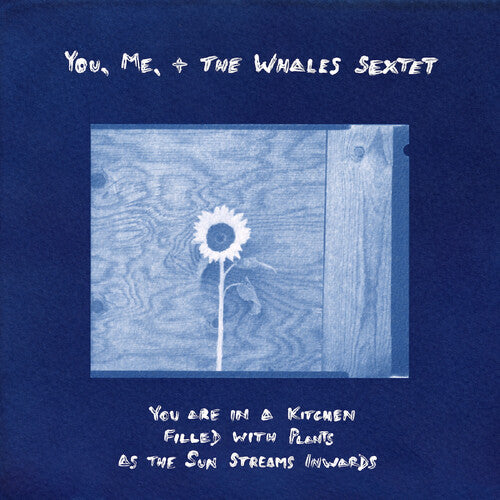 You, Me, + the Whales Sextet: You are in a Kitchen Filled with Plants as the Sun Streams Inwards - VINYL LP