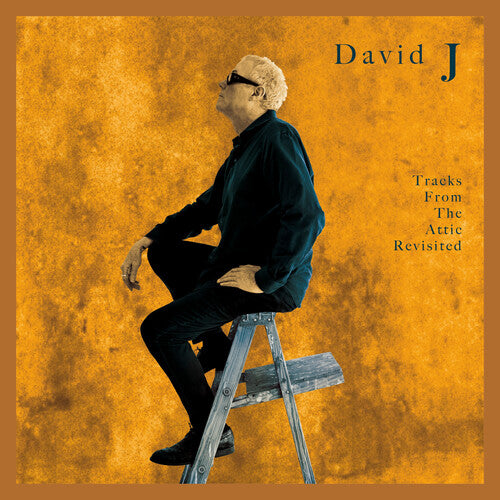 David J: Tracks From The Attic Revisited - VINYL LP
