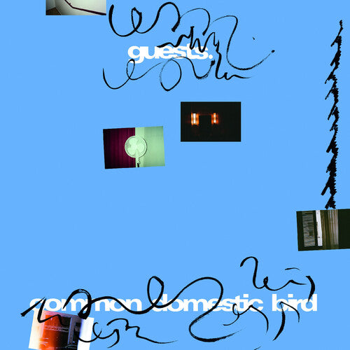 Guests: Common Domestic Bird - VINYL LP