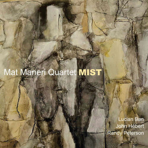 Mat Maneri: Mist - COMPACT DISCS
