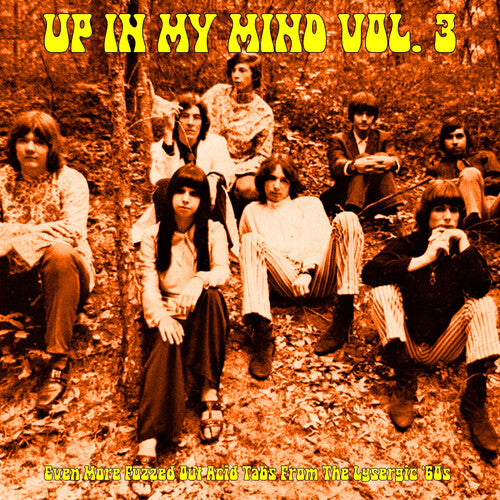 Various Artists: Up In My Mind Vol. 3: Even More Fuzzed Out Acid Tabs From The Lysergic '60S (Various Artists) - VINYL LP
