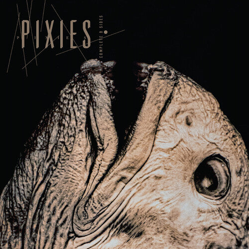 Pixies: Complete B Sides: 1988-97 - COMPACT DISCS