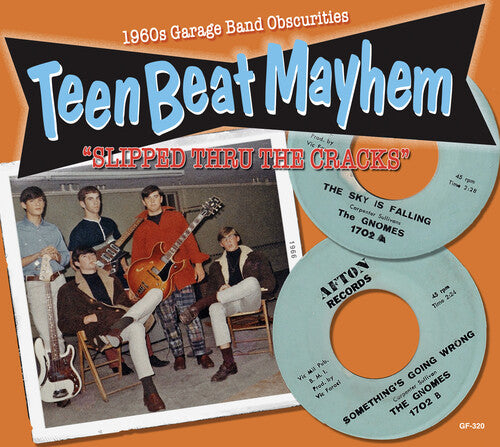 Various Artists: Teenbeat Mayhem -Slipped Through the Cracks (Various Artists) - COMPACT DISCS