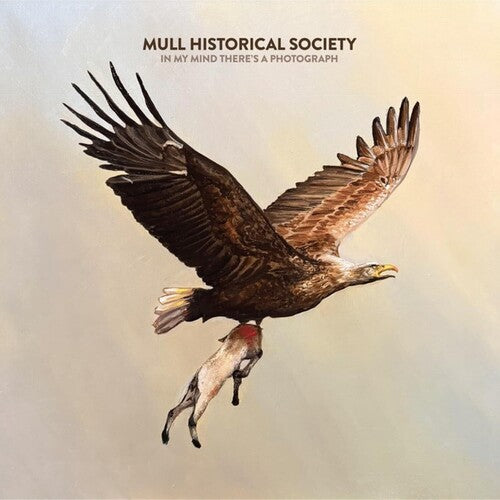 Mull Historical Society: In My Mind There's A Photograph - Oatmeal Vinyl - VINYL LP