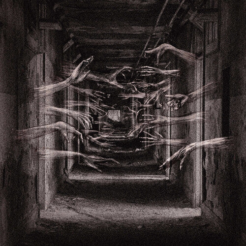 Demonic Possessor: Porous Chambers - VINYL LP