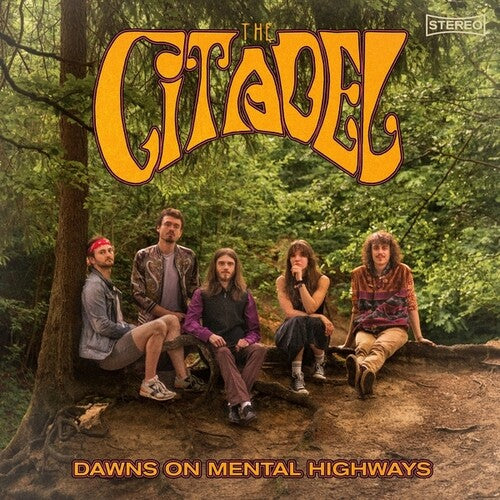 The Citadel: Dawns On Mental Highways - VINYL LP