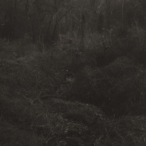 Lesley Mok: Transient - VINYL LP
