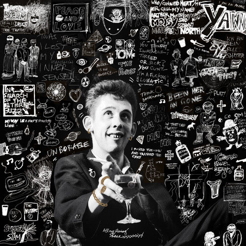 Shane MacGowan: 20th Century Paddy - the Songs of Shane Macgowan - VINYL LP