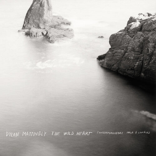Contemporaneous / Bloom, David: Dylan Mattingly: The Wild Heart - COMPACT DISCS