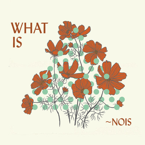 Nois: What Is nois? - COMPACT DISCS