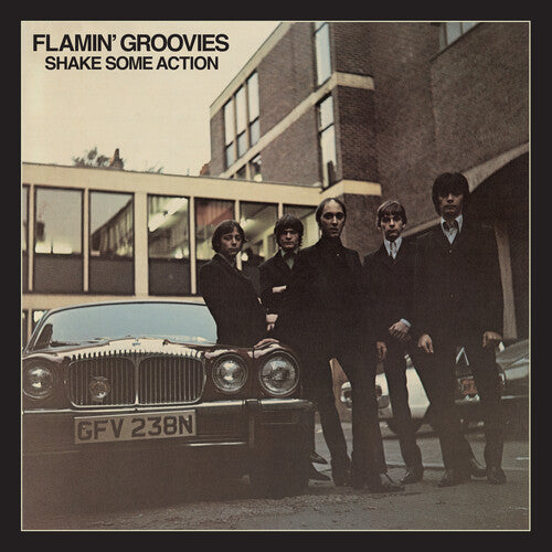 Flamin' Groovies: Shake Some Action - COMPACT DISCS
