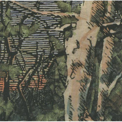 Anomoanon: Asleep Many Years in the Wood