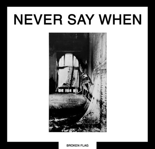 Never Say when / Various: Never Say When - VINYL LP