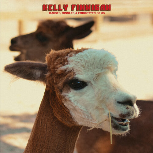 Kelly Finnigan: B-Sides, Singles & Forgotten Gems - CASSETTES
