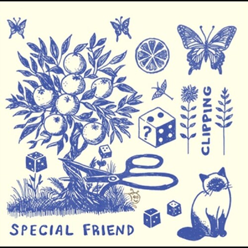 Special Friend: Clipping - VINYL LP