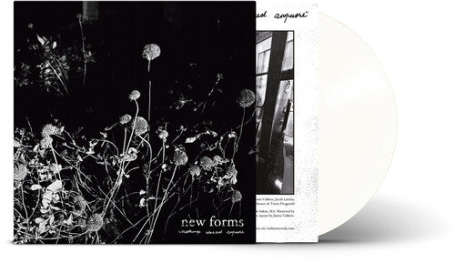 New Forms: Nothing's Sacred Anymore - VINYL LP