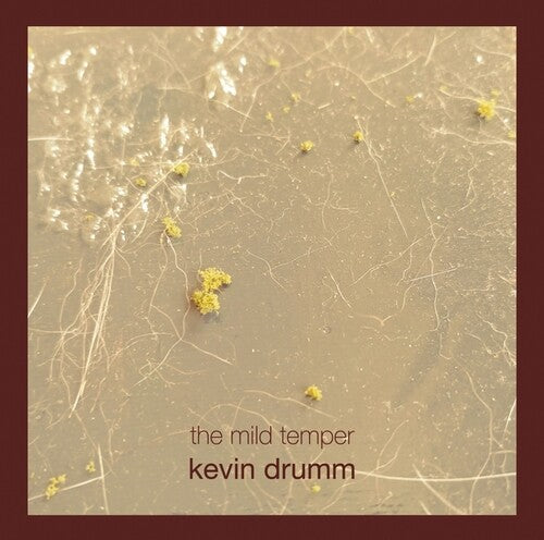 Kevin Drumm: The Mild Temper - COMPACT DISCS
