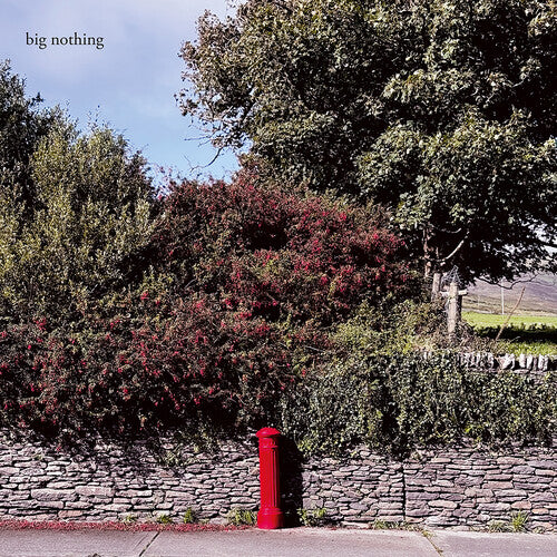 Big Nothing: Big Nothing - VINYL LP