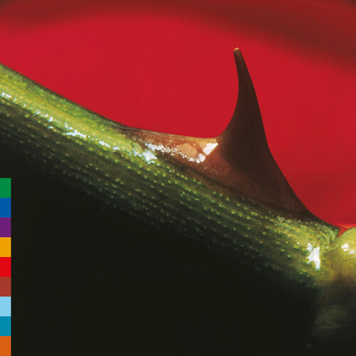 Nusrat Fateh Ali Khan: Night Song - Green - VINYL LP
