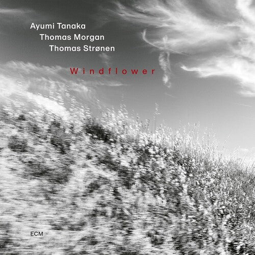 Ayumi Tanaka: Windflower - COMPACT DISCS