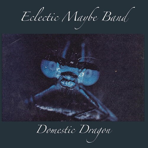 Eclectic Maybe Band: Domestic Dragon - COMPACT DISCS