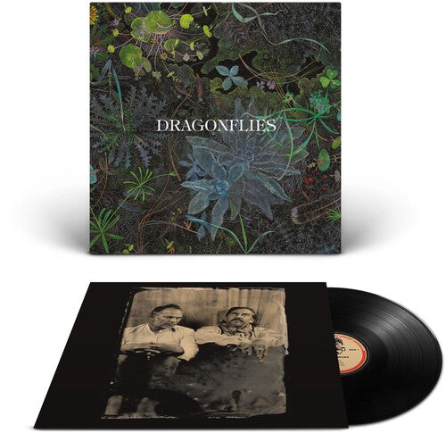 The Dragonflies: Dragonflies - VINYL LP