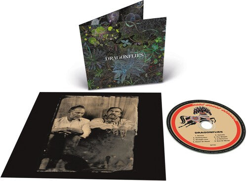 The Dragonflies: Dragonflies - COMPACT DISCS