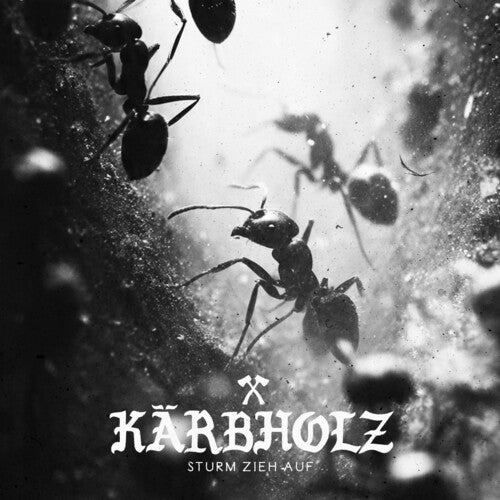 Kärbholz: Sturm Zieh Auf - COMPACT DISCS