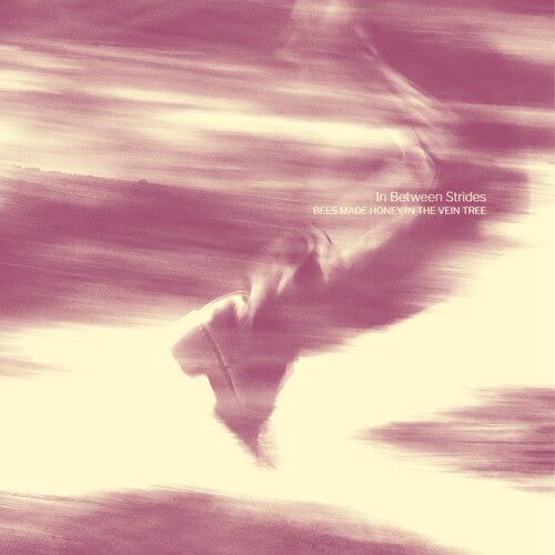 Bees Made Honey in the Vein Tree: In Between Strides - COMPACT DISCS