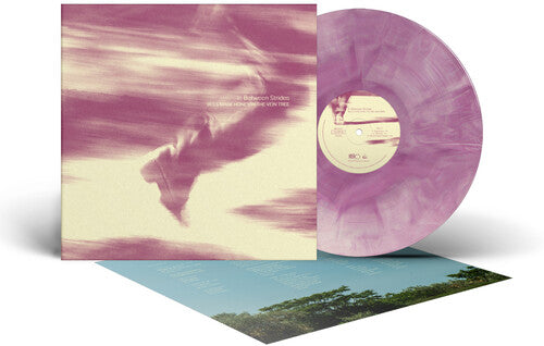 Bees Made Honey in the Vein Tree: In Between Strides - VINYL LP