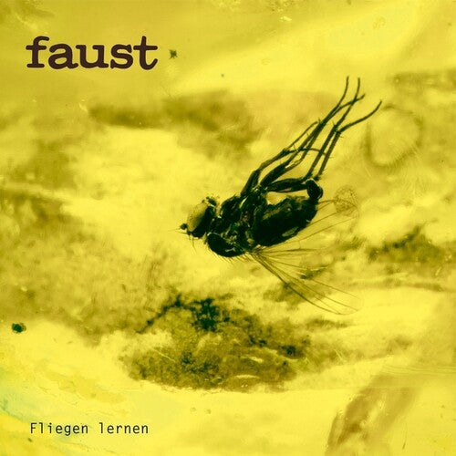 Faust: Fliegen Lernen - VINYL LP