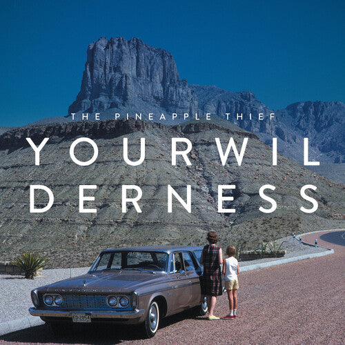 Pineapple Thief: Your Wilderness - VINYL LP
