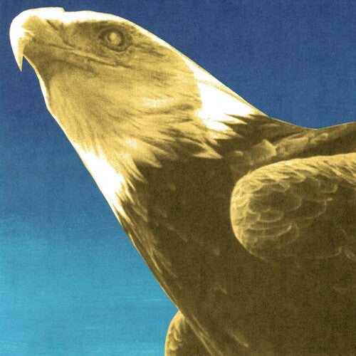 Protomartyr: Hotel Usona - VINYL LP