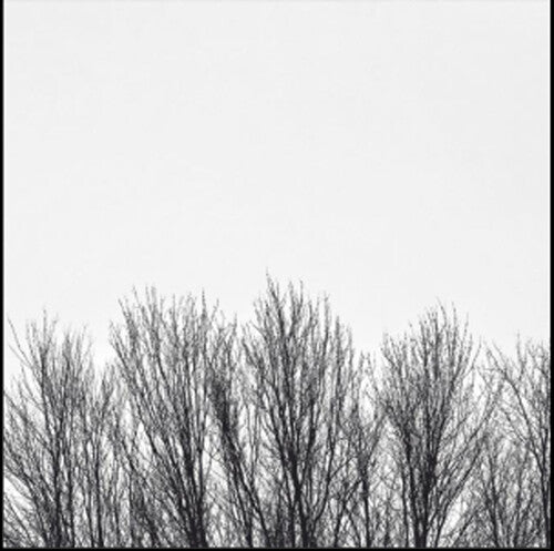 Northwoods Improvisers: White Sky - COMPACT DISCS