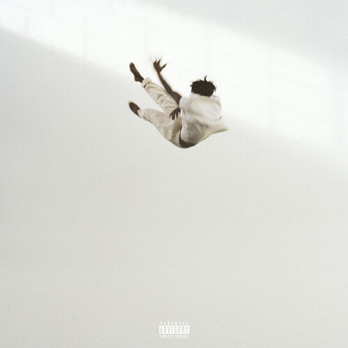 Daniel Caesar: Pilgrim's Paradise - VINYL LP