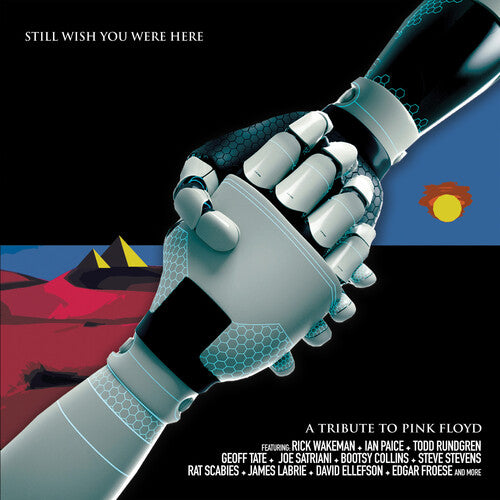 Various Artists: Still Wish You Were Here: A Tribute To Pink Floyd (Various Artists) - VINYL LP