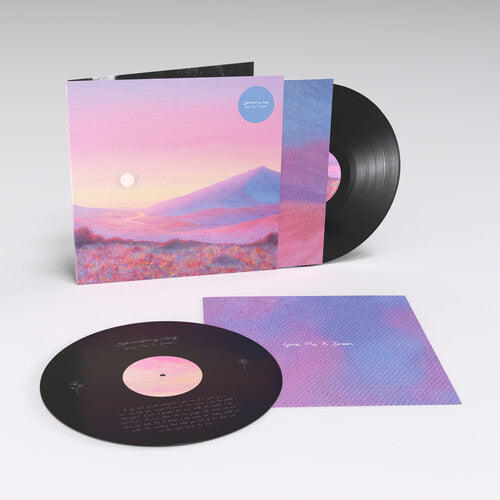 Strawberry Guy: Give Me A Dream - VINYL LP