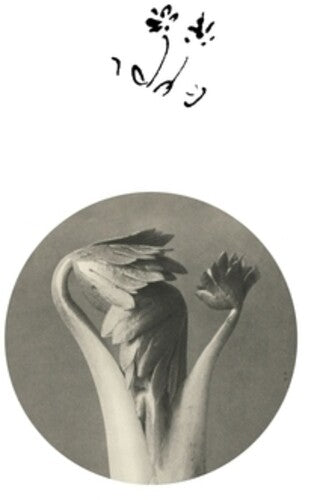 Returning Sweetness (Eversines): Longevity Eyebrow - 12-INCH SINGLE