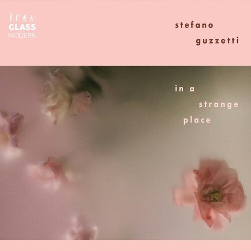 Guzetti, Stefano: In A Strange Place - COMPACT DISCS