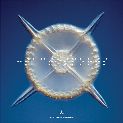 Contact Sports: Contact Sports - COMPACT DISCS