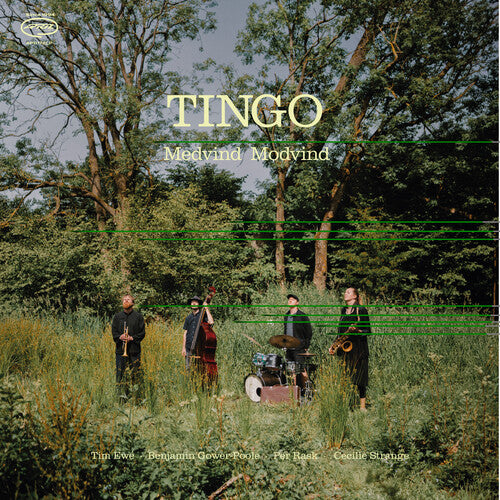 Tingo: Medvind Modvind - VINYL LP