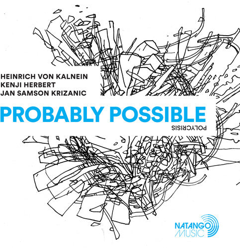 Heinrich von Kalnein: Probably Possible - VINYL LP
