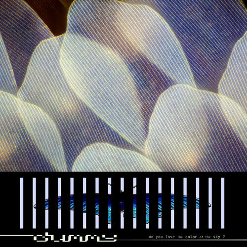 Dummy: Do You Love the Color of the Sky? - CASSETTES