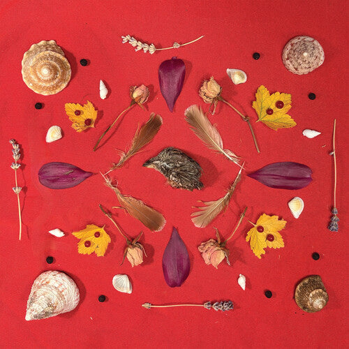 Secret Family: Grouse Head Talisman - VINYL LP