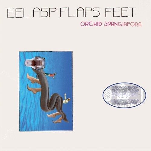 Orchid Spangiafora: Eel Asp Flaps Feet - VINYL LP