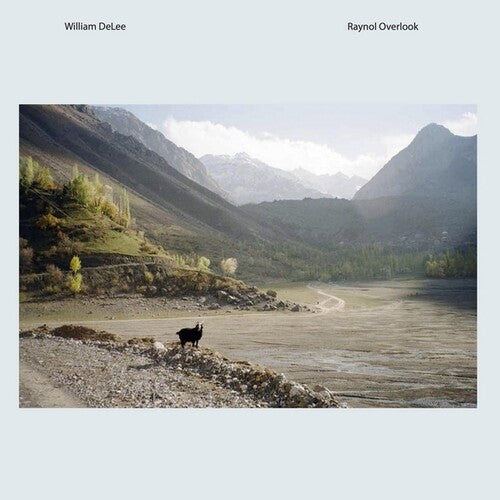 Delee, William: Raynol Overlook - VINYL LP