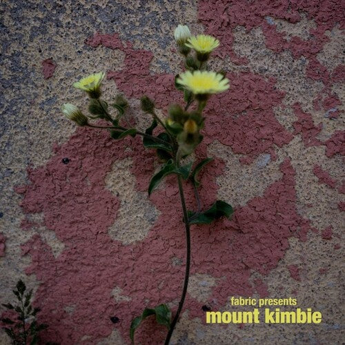 Mount Kimbie: Fabric Presents Mount Kimbie - VINYL LP