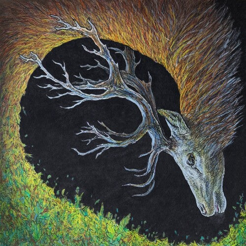 Petrels: Infangthief - Clear Black Smoke - VINYL LP